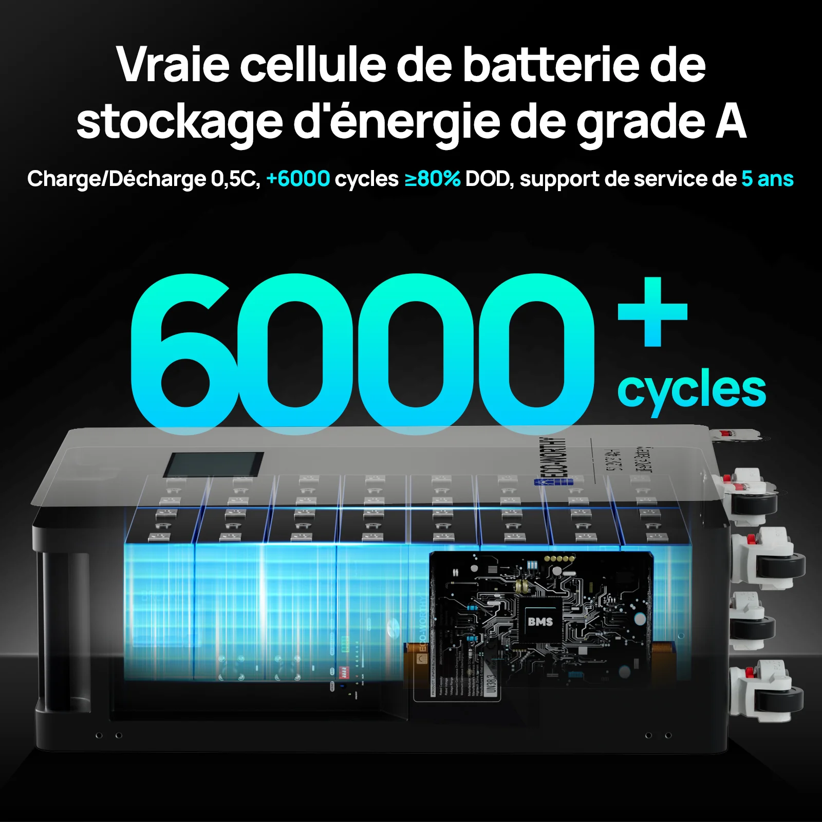 Eco-Worthy Batterie Lithium 48v 314ah | 16kWh Haute Capacité | Domestique Lifepo4 - Image 4